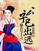 報告皇上之公子已出逃